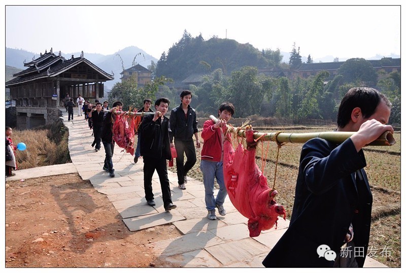 江西赣州信丰新田结婚习俗,广西方田结婚习俗