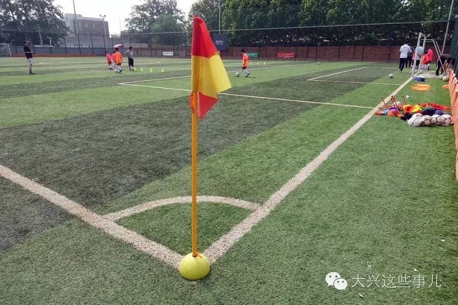 堪比淘宝大兴这个早市不赖地儿大货全免费停车