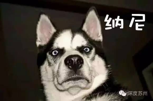 甲醛超标！含致癌物质！请不要给孩子买这些鞋，价格贵不一定好！