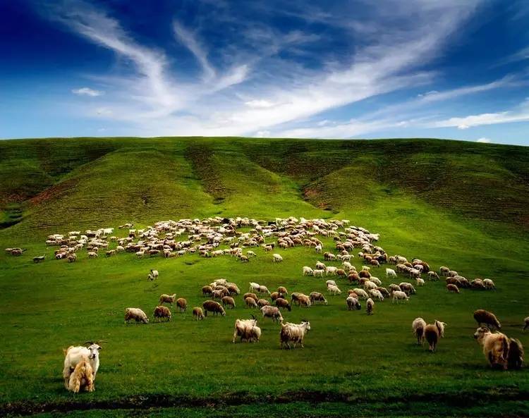 全国最美的六个地方,6月国内最美的10个地方