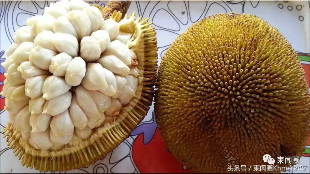 柬埔寨的特色水果有哪些,柬埔寨十大热带水果