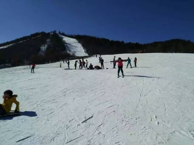 省内去神农架滑雪最全攻略,神农架滑雪攻略两天一夜