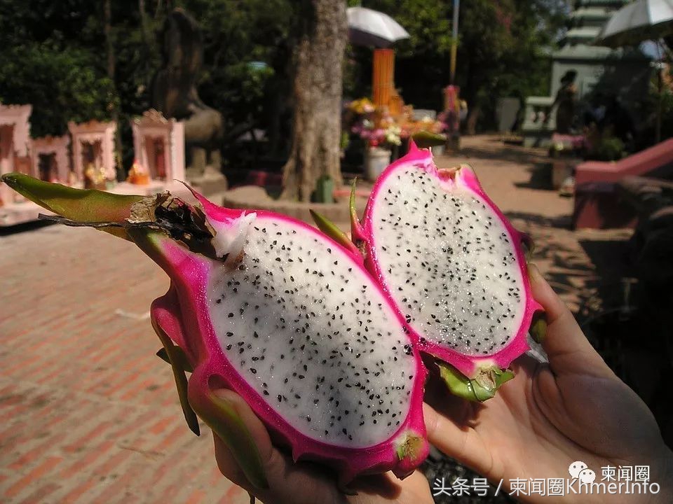 柬埔寨的特色水果有哪些,柬埔寨十大热带水果