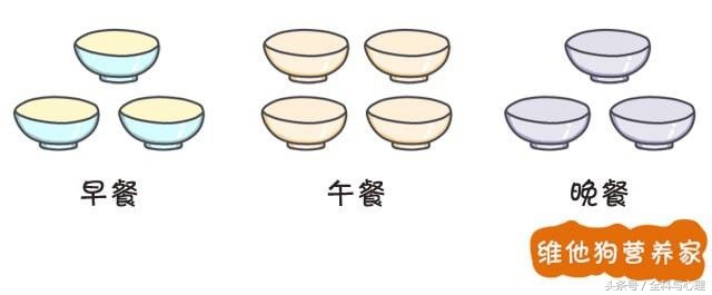 晚餐食谱大全及注意事项,晚餐应该吃什么更丰盛