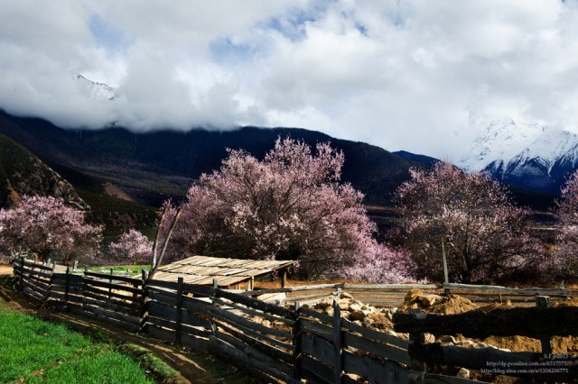 走进古村落寻找童年的记忆,到古老的小山村采风