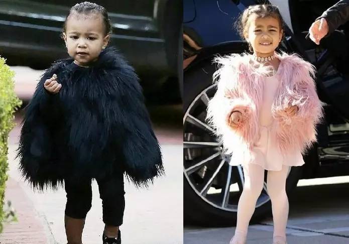 世界之最小公举盘点|波妹夜话