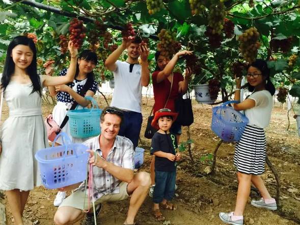 洛阳必吃美食排行榜西工区,洛阳十大必吃美食