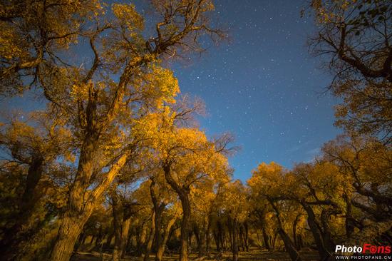 如何拍出璀璨绚丽的星空,流光快门怎么拍摄绚烂星空
