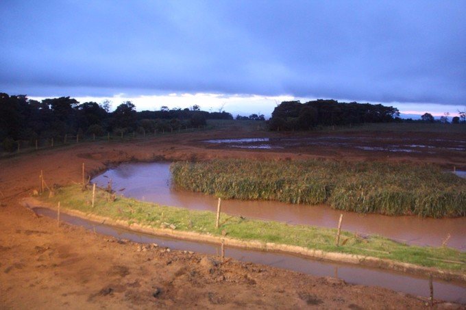 12天肯尼亚动物大迁徙自驾之旅,肯尼亚动物旅行