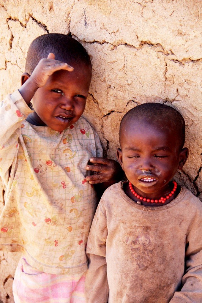 12天肯尼亚动物大迁徙自驾之旅,肯尼亚动物旅行