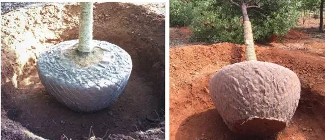 迪士尼新项目建造,万达迪士尼