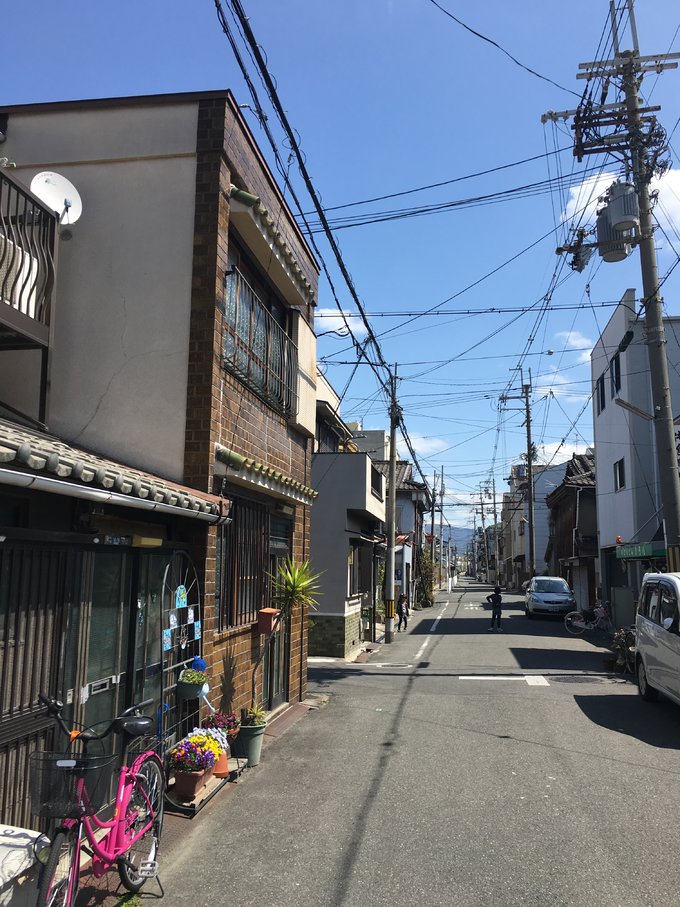 16年，关西（大阪，奈良，京都，宇治）樱花，甲子园