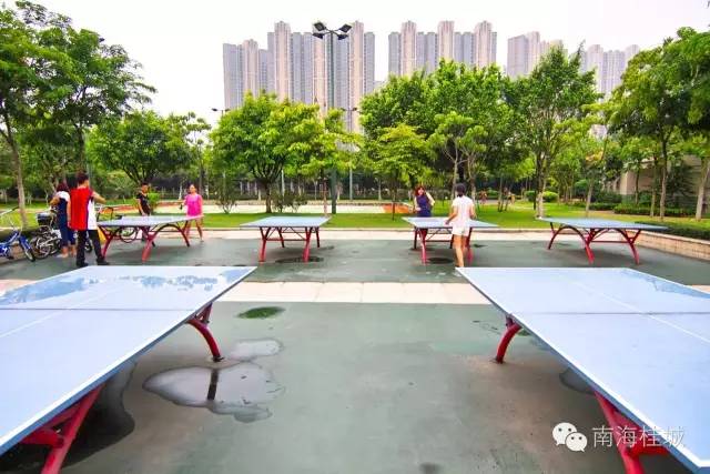 2023年沥桂龙舟赛时间,沥桂杯龙舟2019赛程