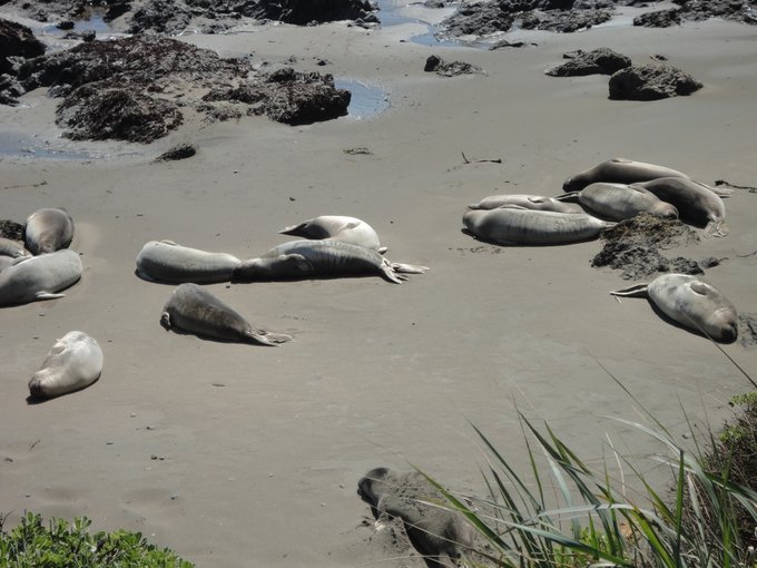 美国1号公路旅游视频,美国1号公路旅游线路