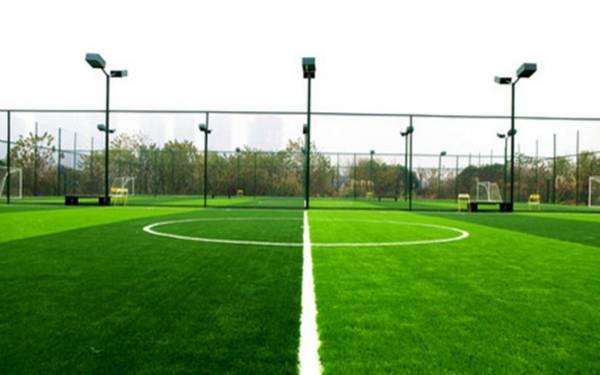 欧洲杯足球在哪里踢得好,欧洲杯足球场地在哪里