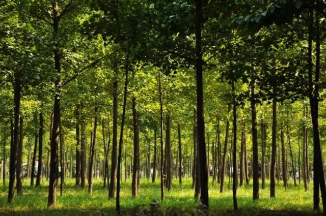 濮阳摸爬叉的地方,濮阳老城摸爬叉的地方