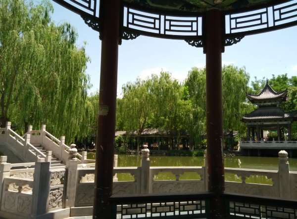 爸爸去哪儿旅游打卡,爸爸去哪儿宁夏中卫沙坡头