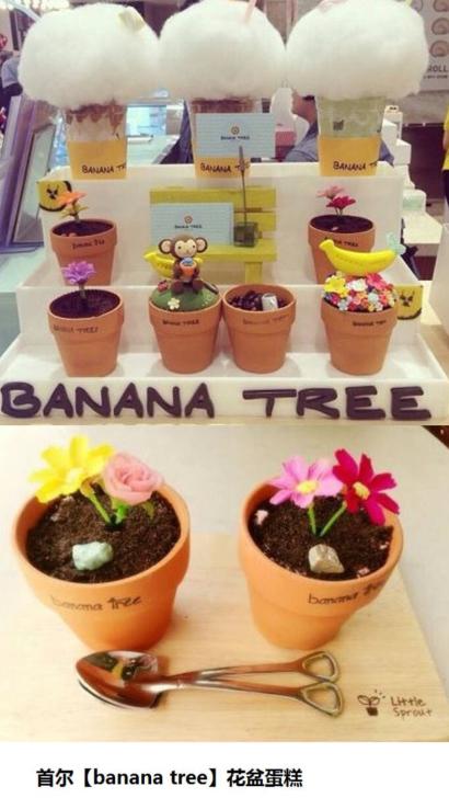 从咖啡看韩国之食品类专业