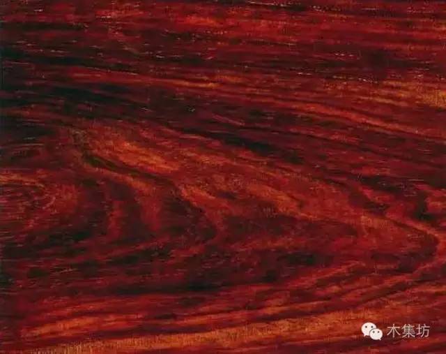 品鉴木头完整版,品鉴一般鉴别什么物品