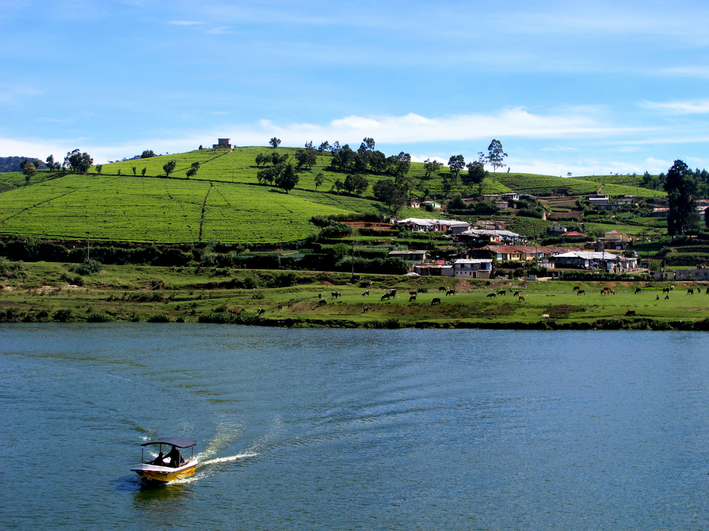 跟随第六感游戏,跟随第六感