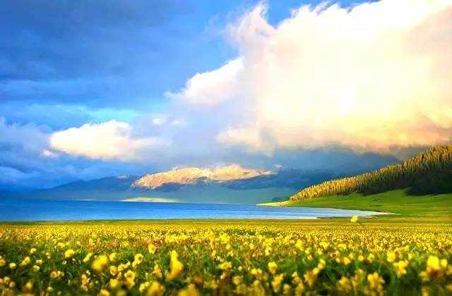 在*疆新**,睡觉是一种浪费?