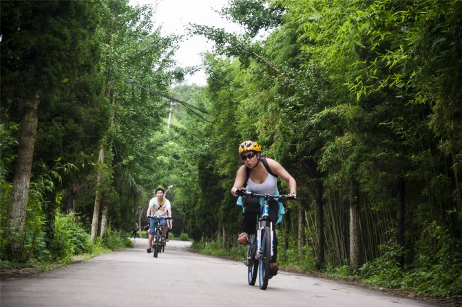在这座神山中，我们每个人都是武林高手
