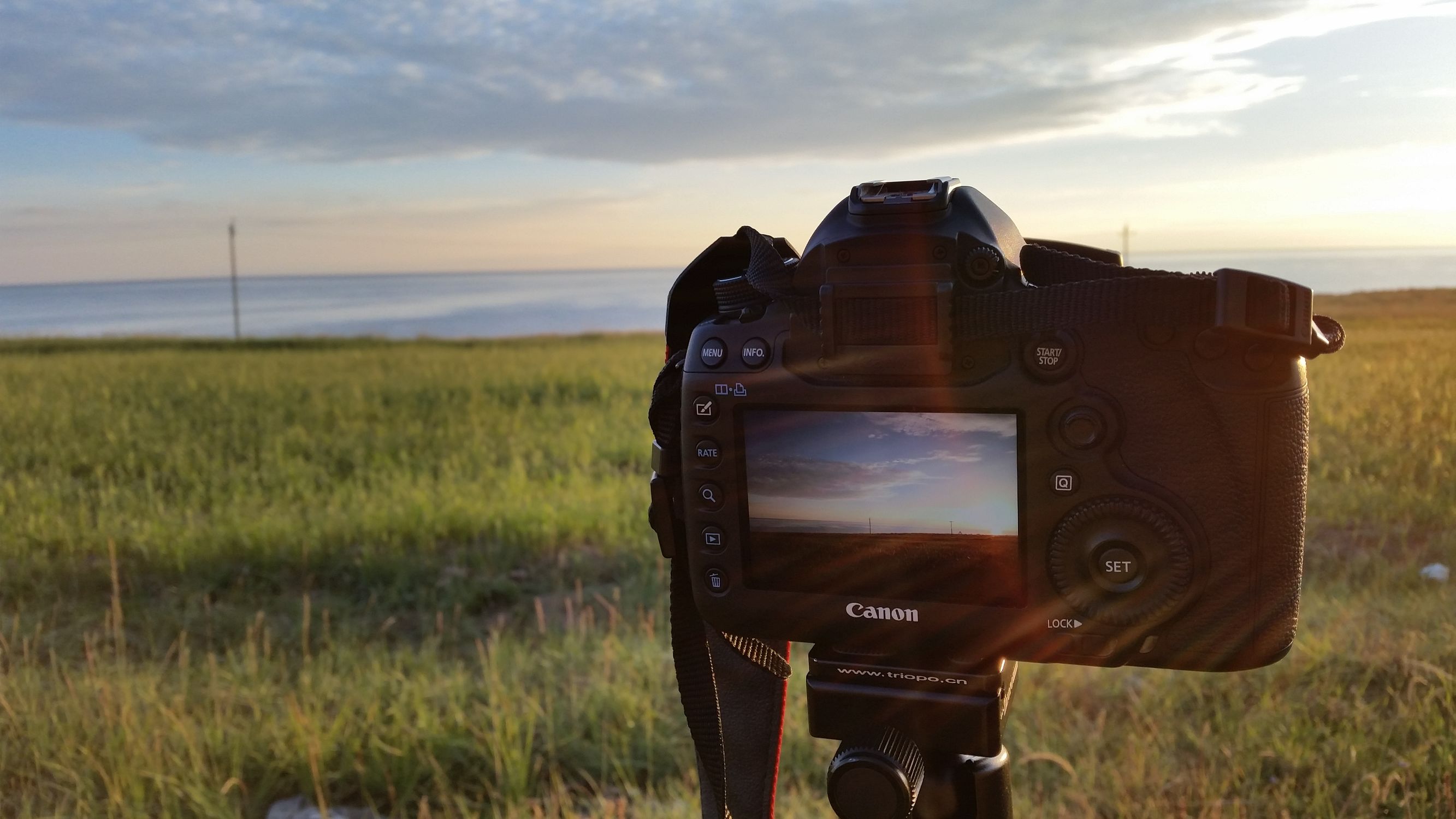 西部旅游必备物品清单 (国外旅游必备的装备)