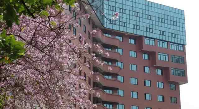 中国最好酒店前十位排行榜,全球最值得入住的前十家酒店