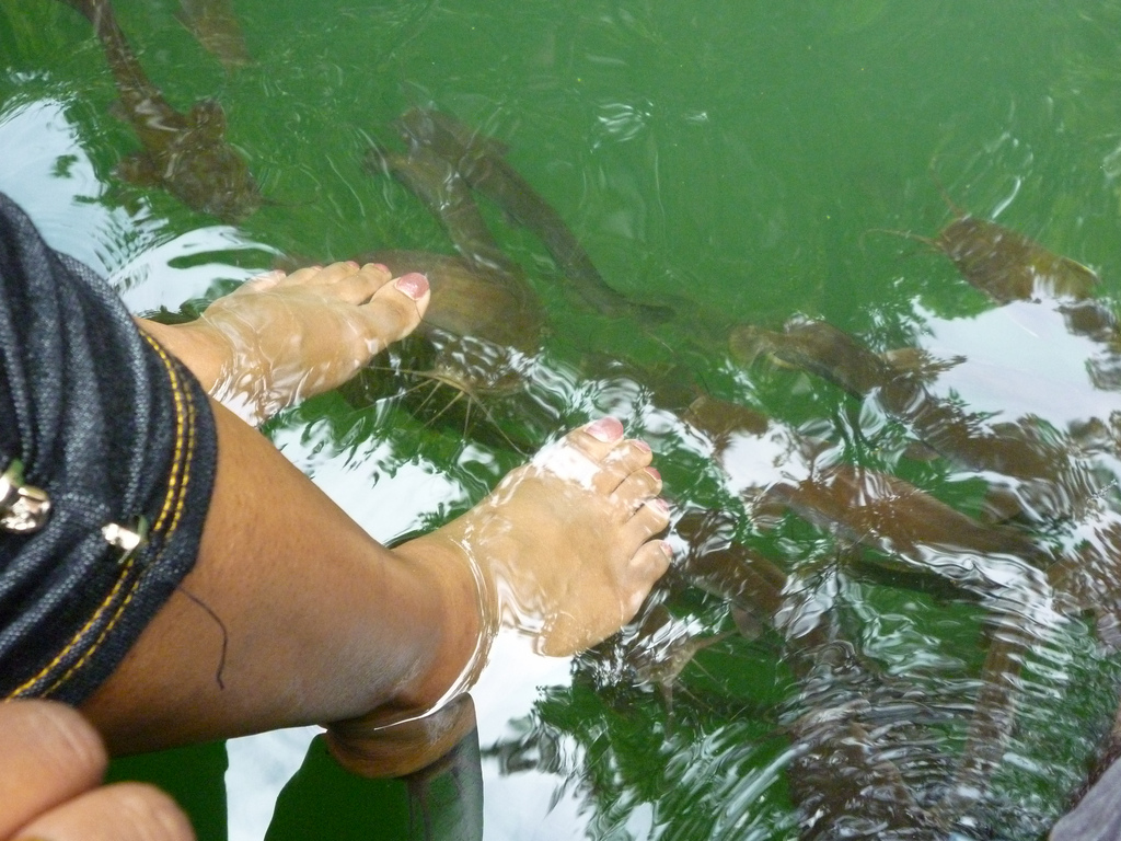 兰卡威旅游超详细攻略,去兰卡威注意事项