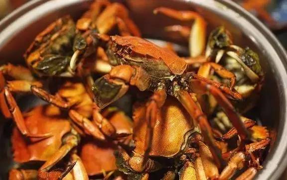 珠海海边沙滩哪里好玩可以烧烤,珠海哪些海边可以自驾烧烤露营