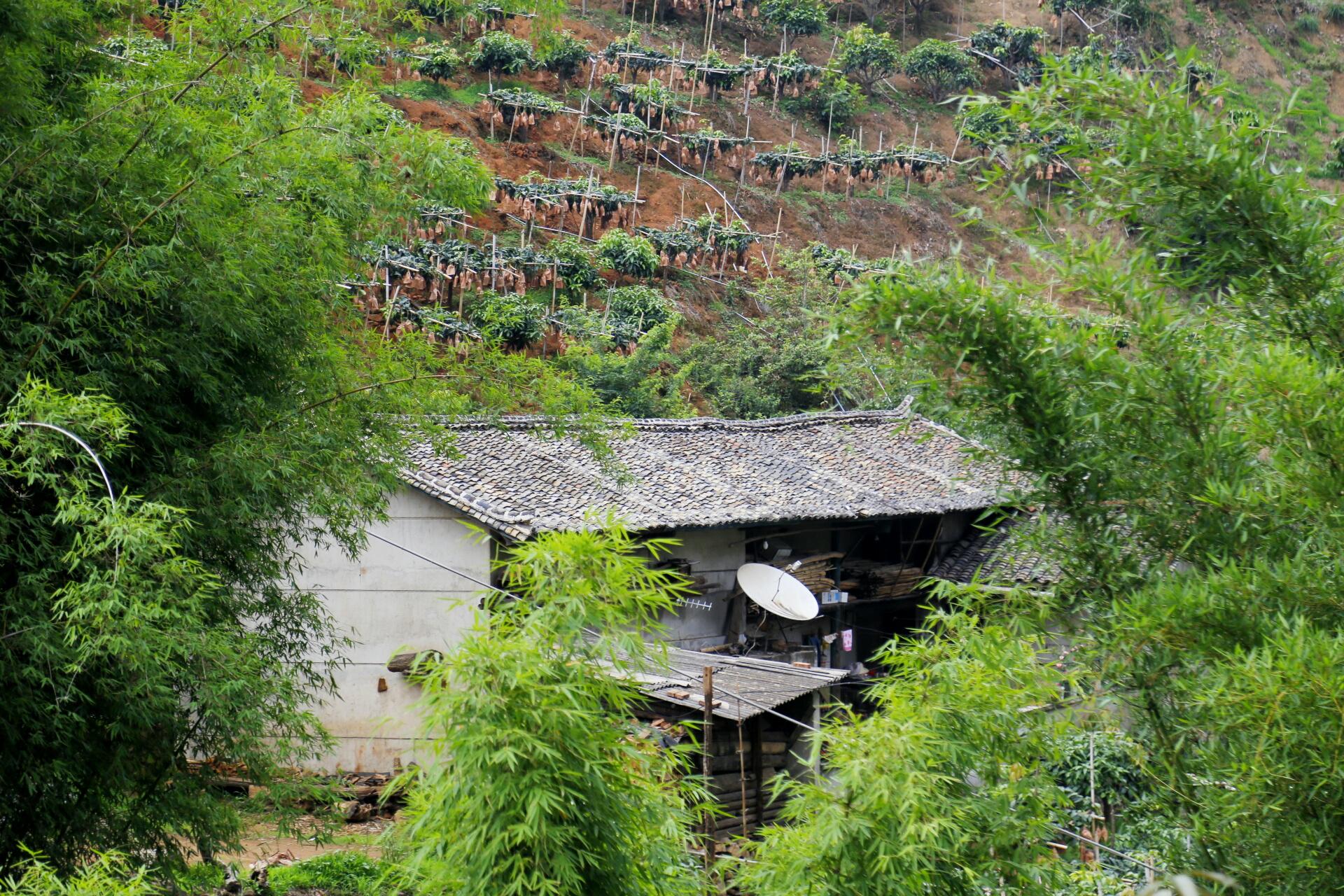 攀枝花料理,攀枝花最好吃的料理