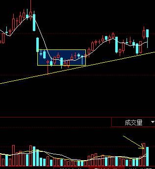 季报出来大涨的股票有吗,中报龙头股最新消息