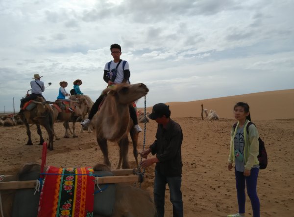 爸爸去哪儿旅游打卡,爸爸去哪儿宁夏中卫沙坡头