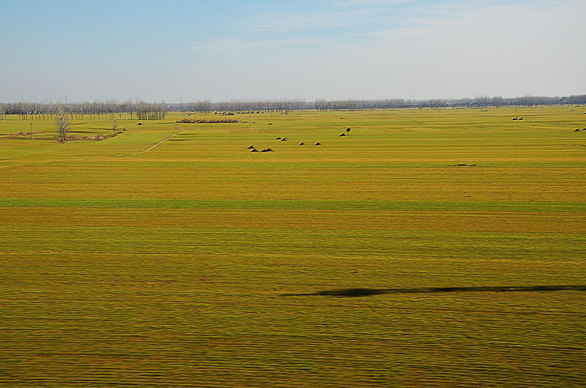 乐檬回归了完整版,乐檬回归