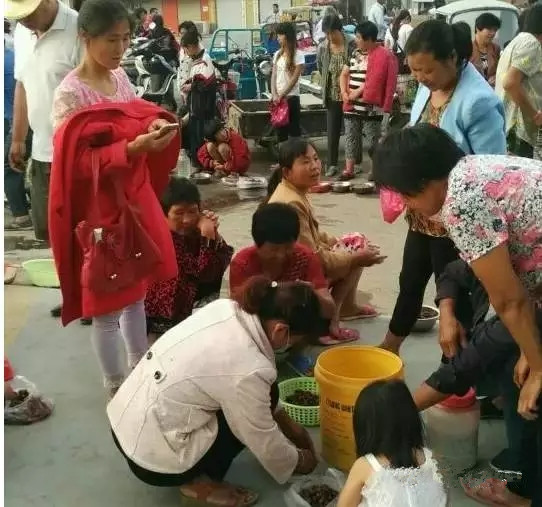 徐州某集市卖“姐喽龟”的，这场面你见过吗？