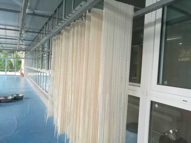 欧李是什么李子,欧李与普通李子的区别