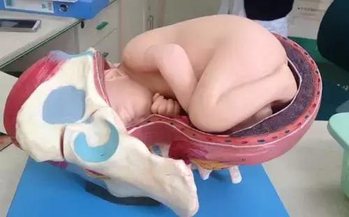 顺产开十指，真要把10个手指塞进去才能生？