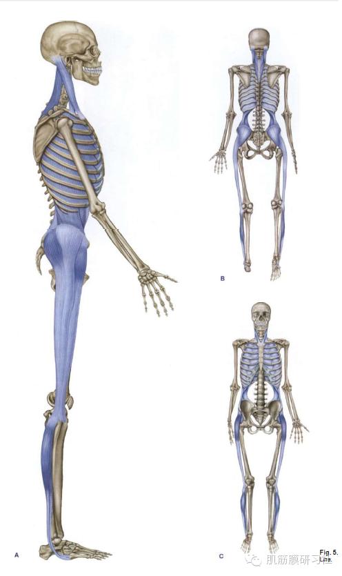 颈椎病国际康复训练,中医讲座颈椎病