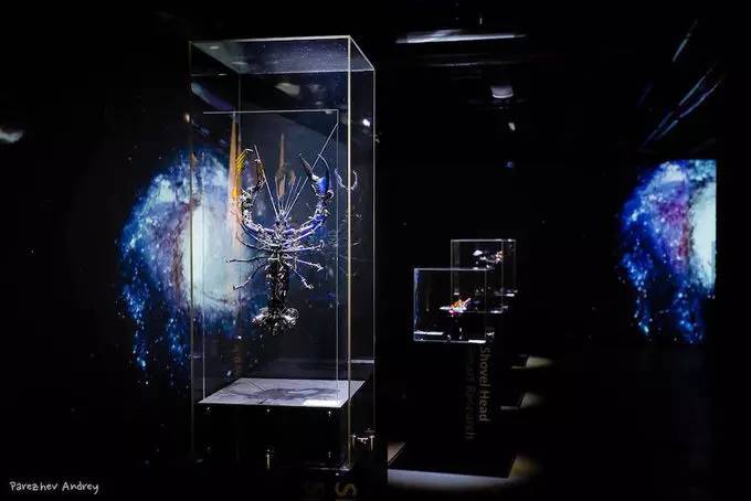 宇田川誉仁有蜘蛛作品吗,宇田川誉仁所用零件