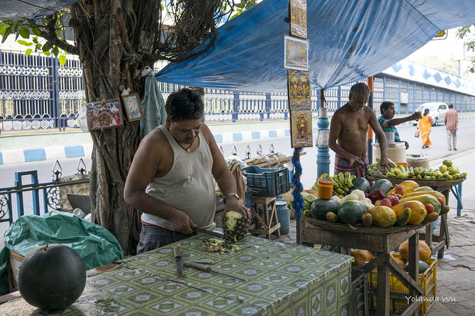 印度游记,旅行的印度之旅