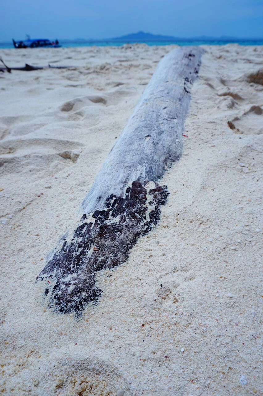 见摄者：普吉岛行之三珊瑚礁的梦，梦幻般的蓝，和蜥蜴面对面