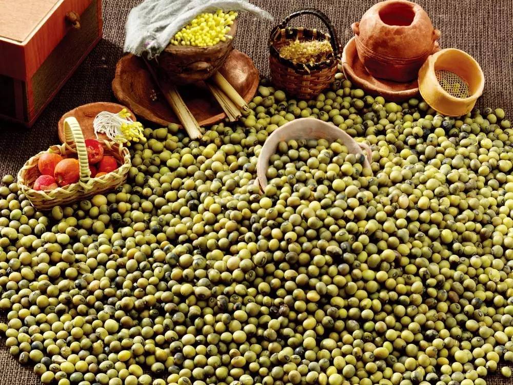 治疗夏季感冒,夏季感冒如何自愈