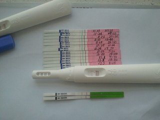 备孕的首选就是在排卵期，那你要注意些什么呢？