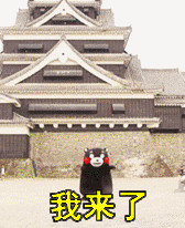 这次欧洲杯有冰岛吗,这次欧洲杯哪个国家会拿冠军