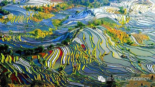 重庆至云南自驾游7天最佳路线,成都到云南自驾游最佳路线推荐