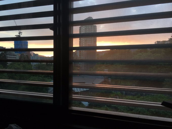 一路惊喜旅行,一路惊喜飞鸟和蝉