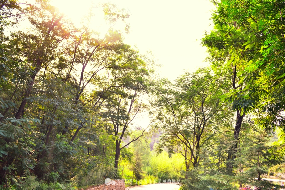红石沟油菜花,红石沟秋景