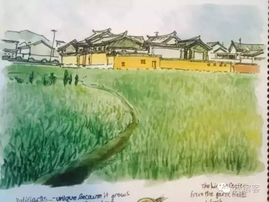 这个歪果仁倾其所有到大理开民宿，竟然成为中国小型度假酒店NO.1