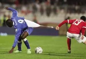 瑞士队视频,瑞士牧羊犬幼犬怎么看纯不纯