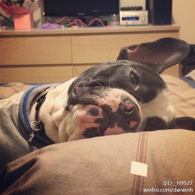 激萌祛痘了怎么恢复,激萌正确使用法